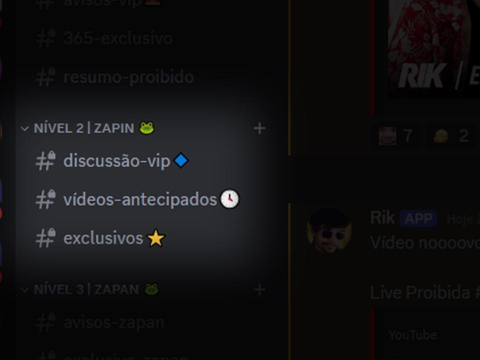 Canais do Nível 2 no Discord: discussão-vip, vídeos-antecipados e exclusivos